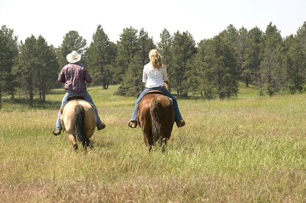 Riding Horses in Wyoming — Stock Photo, Image