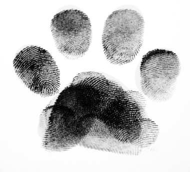 Paw Print clipart