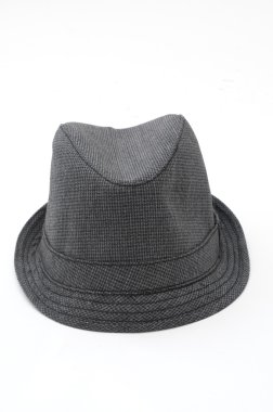 Fedora on White Background clipart