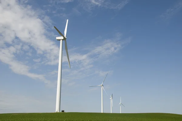 Wind Turbines on Soybean Crop — Stock Photo, Image