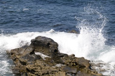 La jolla, Kaliforniya manzara