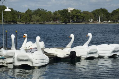 Swan Boats at Lake Eola Park clipart