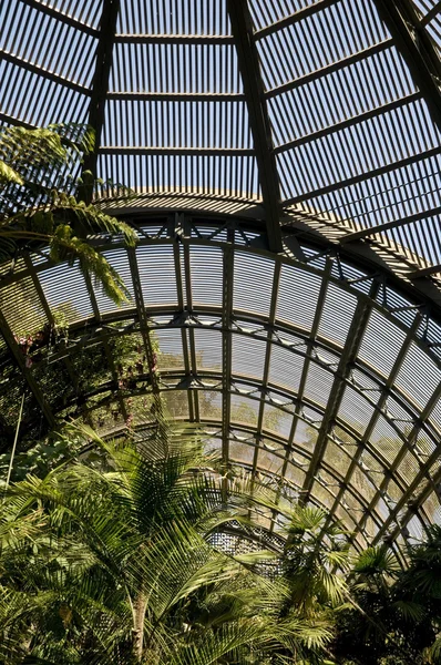 Giardini Botanici nel Parco Balboa — Foto Stock