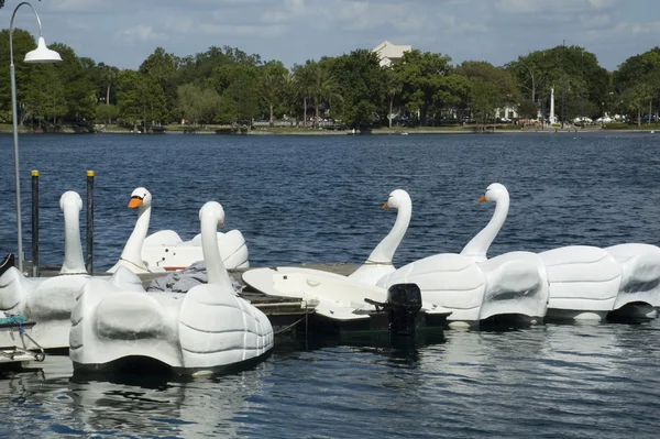 Barcos de cisne em Lake Eola Park — Fotografia de Stock