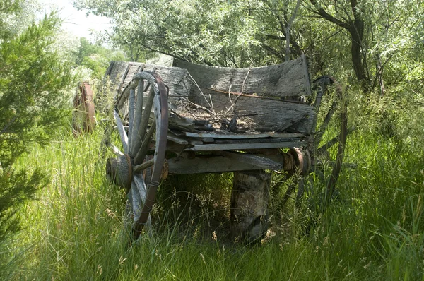 旧的马车在怀俄明州的牧场上 — 图库照片