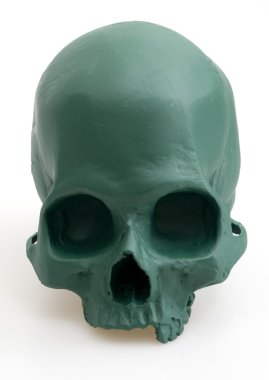 izole kara tahta kafatası