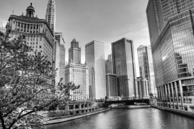 HDR of Chicago clipart