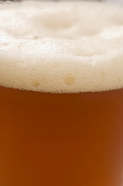 Close up of Beer — Stock Photo, Image
