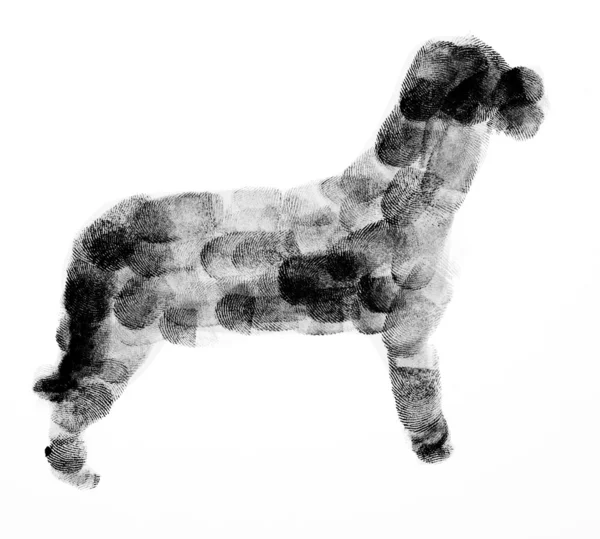 Hond samengesteld van vingerafdrukken — Stockfoto