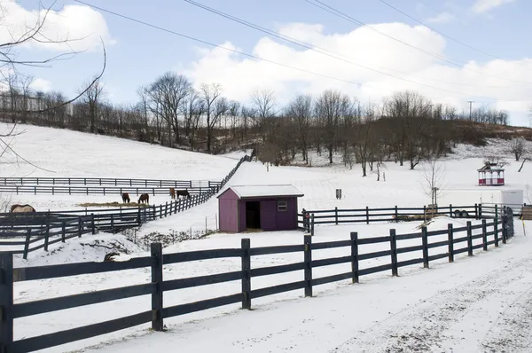 在冬天的俄亥俄州农场 — 图库照片