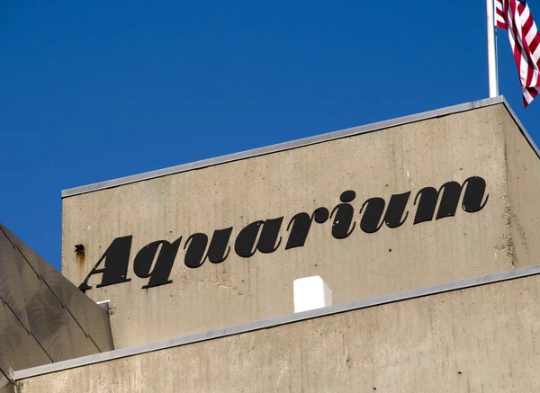 Aquarium in Boston — Stock Photo, Image