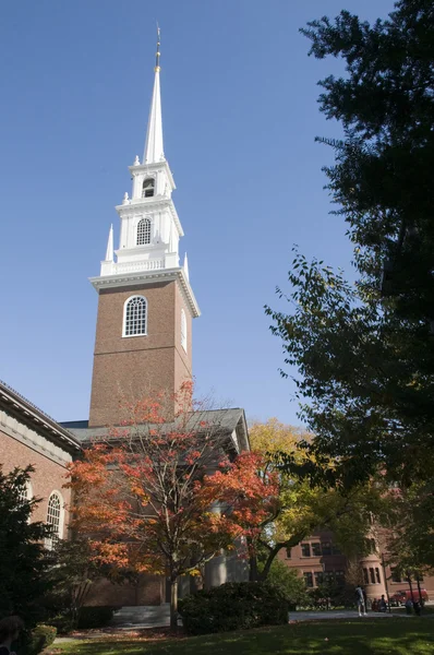 Sonbaharda Harvard — Stok fotoğraf