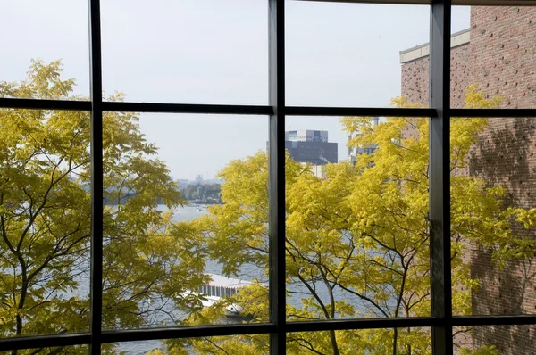 Sonbahar pencerenin arkasında — Stok fotoğraf