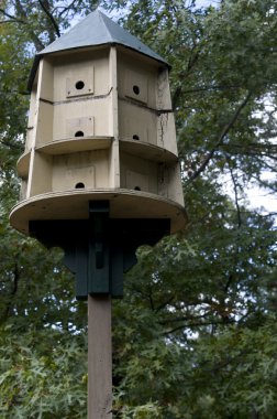north Carolina kuş evi