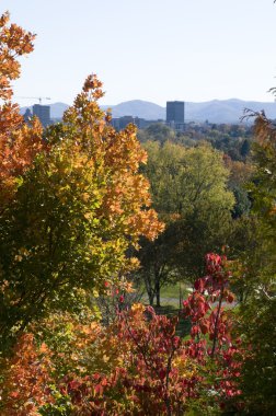 Fall in Asheville, North Carolina clipart