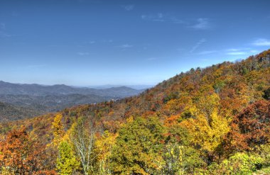 Kuzey Carolina 'da Sonbahar