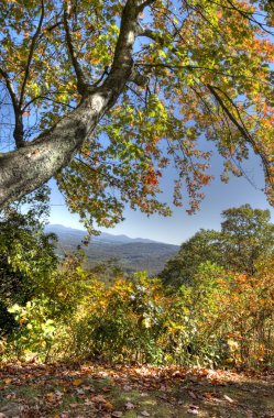 Kuzey Carolina 'da Sonbahar