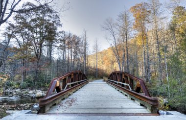 sonbahar HDR north Carolina