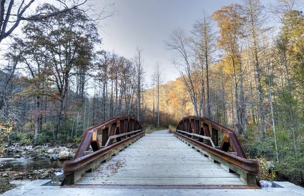 Bridge in North Carolina — Stock Photo, Image