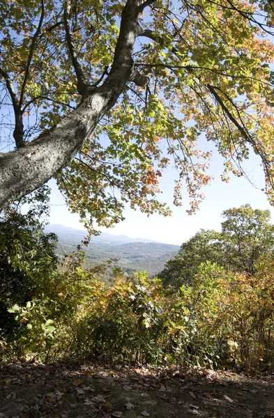 Podzim v blue ridge mountains — Stock fotografie