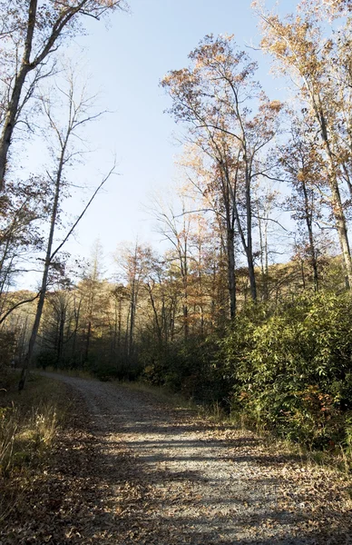 Fall in Blue Ridge Mountains — Stock Photo, Image
