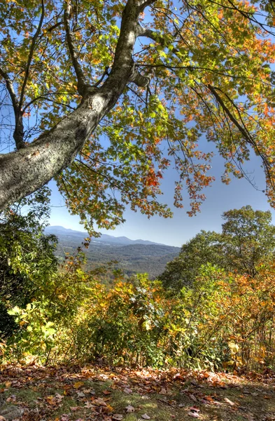 北卡罗莱纳州的秋天 — 图库照片