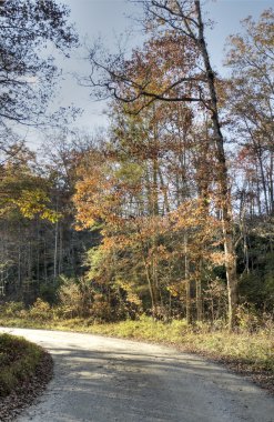 sonbahar HDR north Carolina