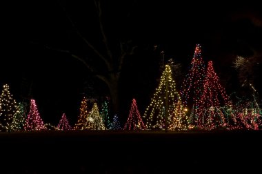 gece Noel ağaçları