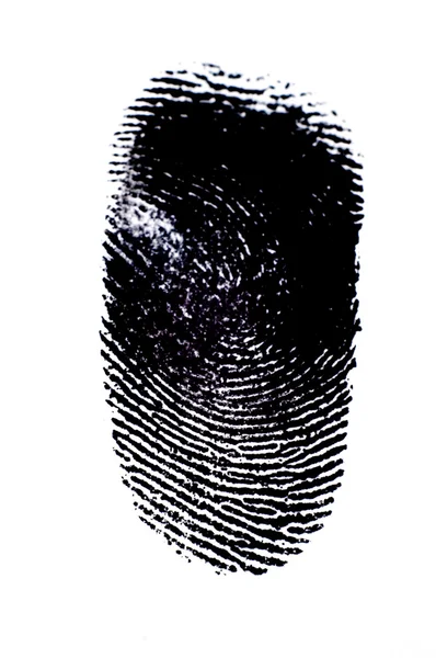 stock image Fingerprints on White Background