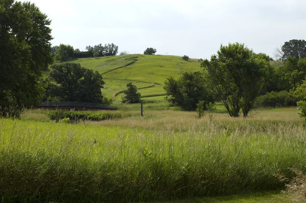 Landschaft in Iowa — Stockfoto