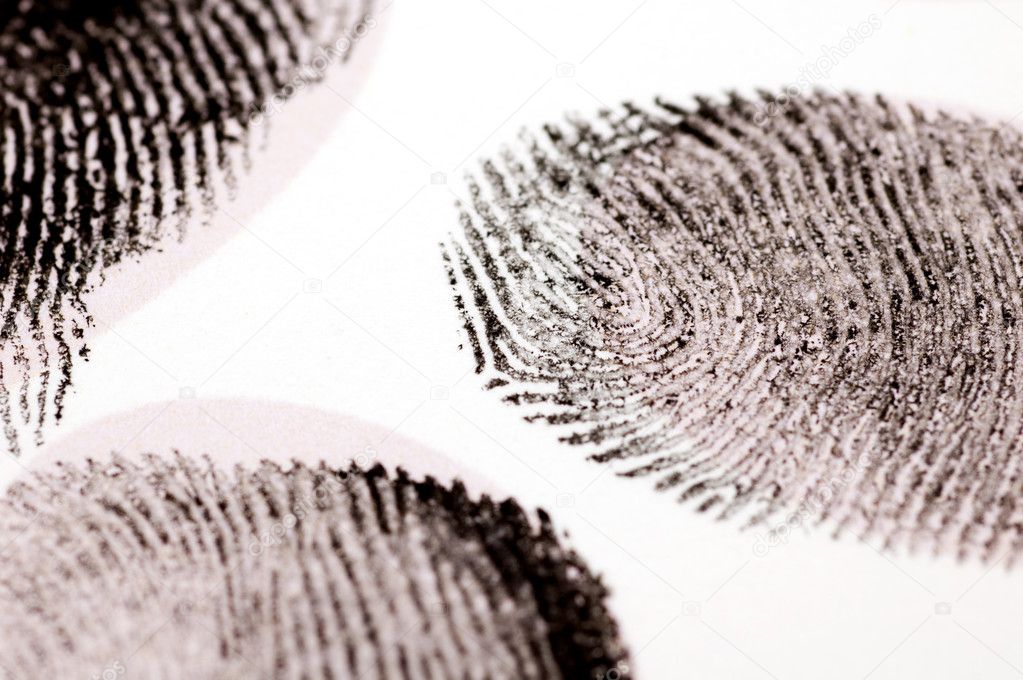 Fingerprints on White Background