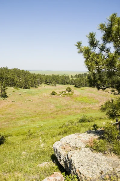 Paesaggio naturale nel Wyoming — Foto Stock