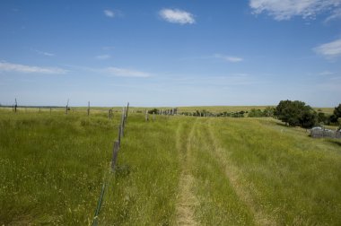 Wyoming ranch yaz