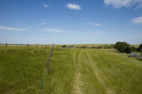 Wyoming ranch i sommar — Stockfoto