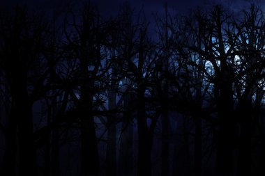 Midnight forest clipart