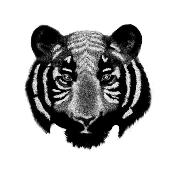 Grunge tijger gezicht — Stockfoto