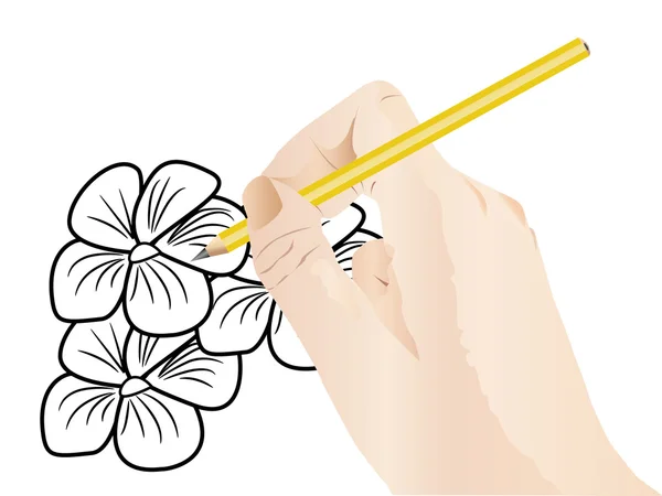 Рисование цветов — стоковый вектор