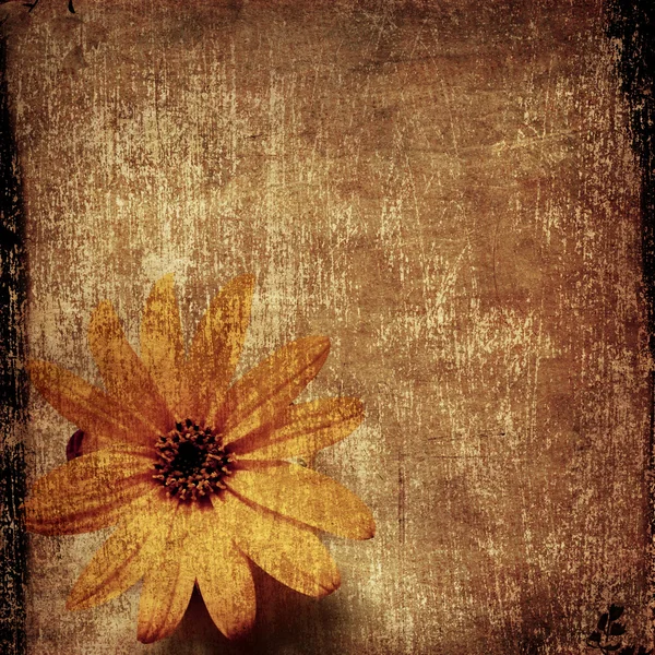 Grunge background with yellow flower