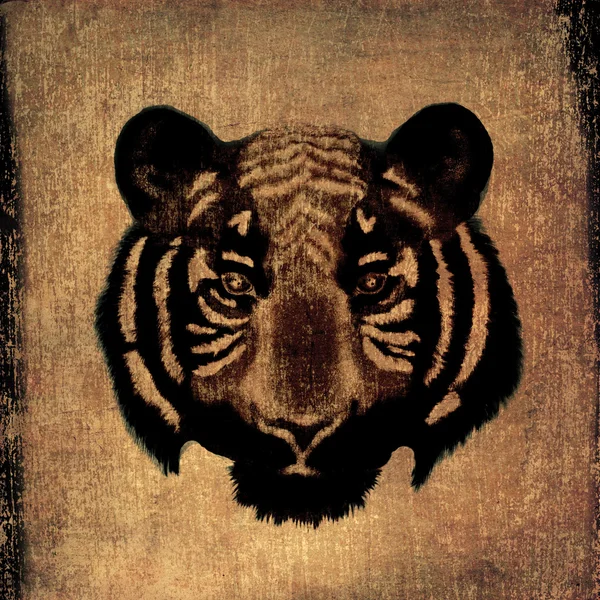 Cara de tigre grunge — Fotografia de Stock