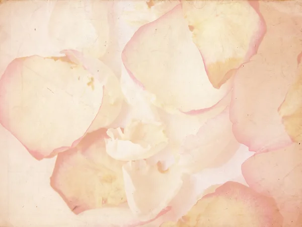 Grunge petals — Stock Photo, Image