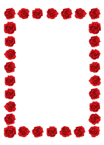 Röda rosor ram — Stockfoto