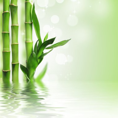 Green bamboo background clipart