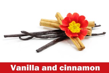 Cinnamon sticks and vanilla beans clipart