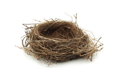 Empty bird nest clipart