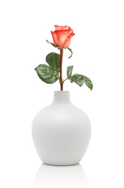 Rose in white vase clipart