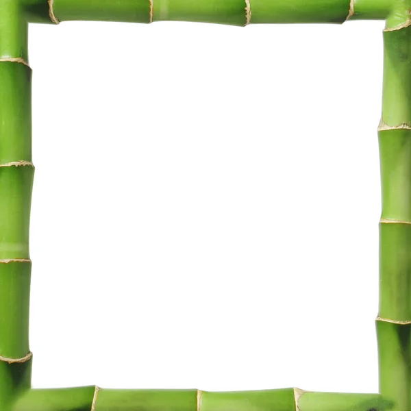 Бамбуковая рамка — стоковое фото