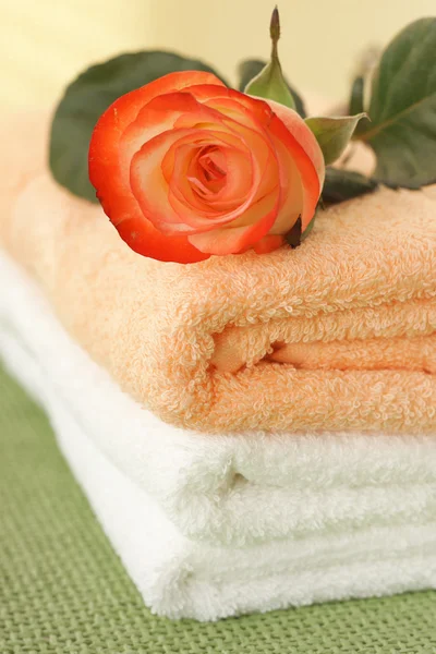Rosa y toallas —  Fotos de Stock