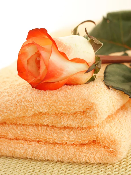 Róża i ręczniki — Zdjęcie stockowe