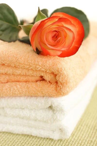 Rose en handdoeken — Stockfoto