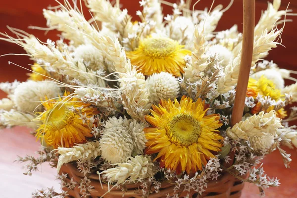 Dried flowers bouquet — Stock Photo, Image